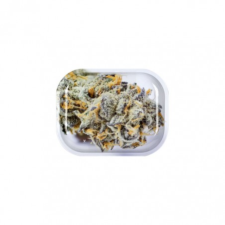 Comprar Bandeja de Liar de Girl Scout Cookies Rolling Tray Small 18 x 14 cm