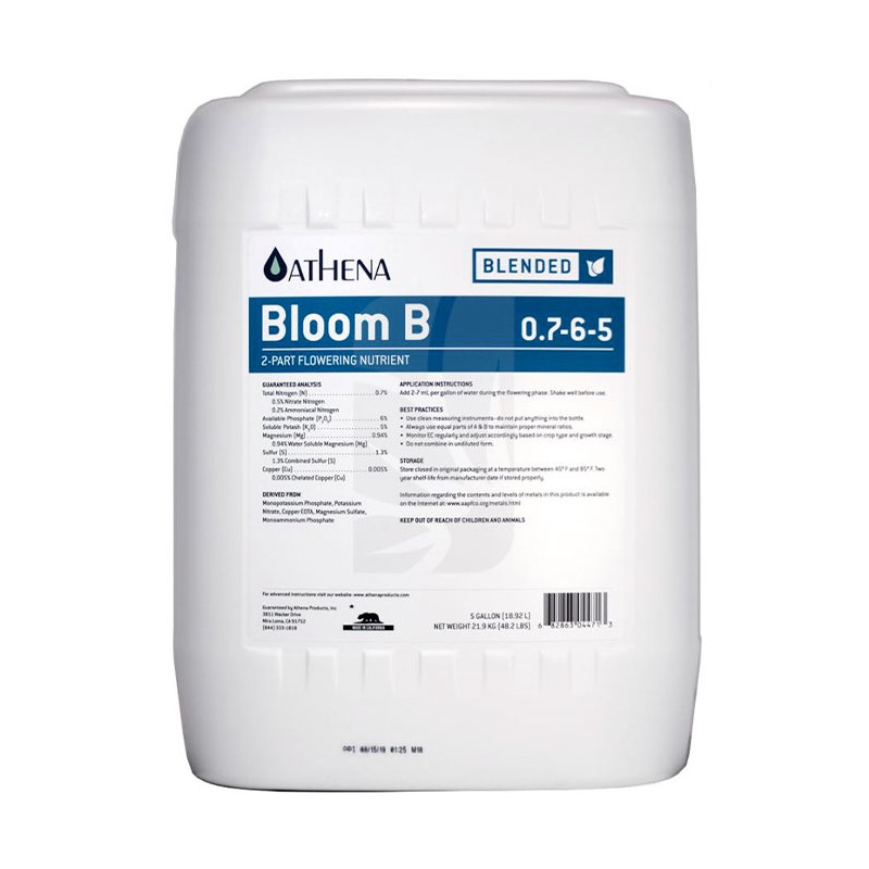 Bloom B 18.92 Liters Athena Bloom B 18.92 Liters Athena