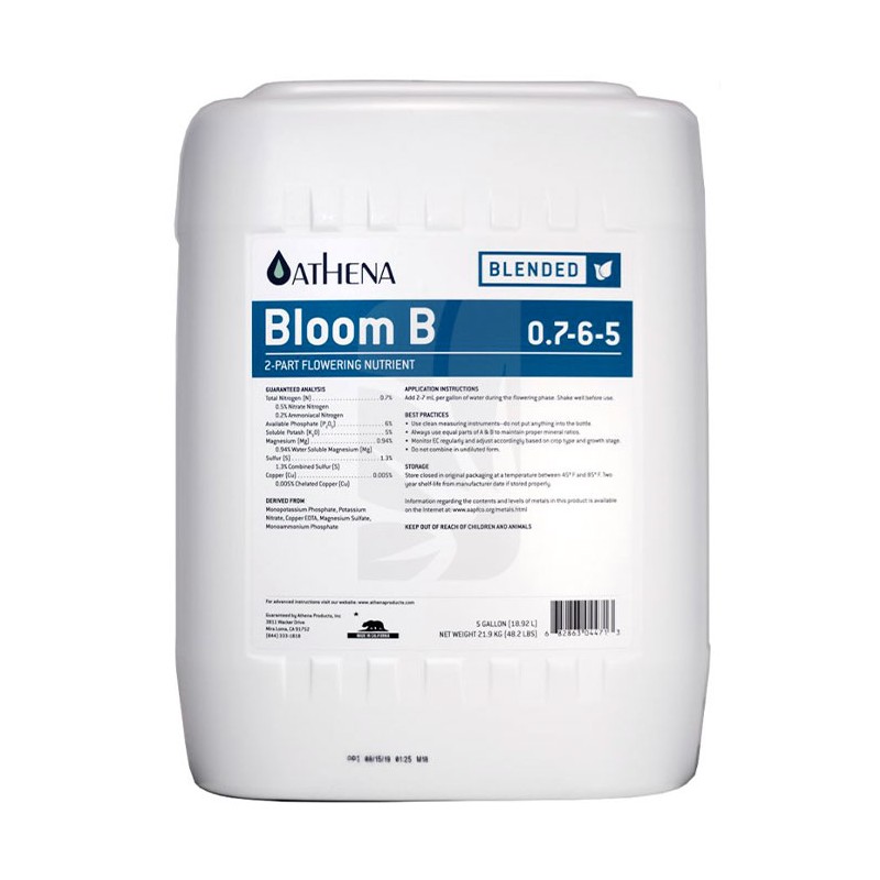 Bloom B 18.92 Litros Athena