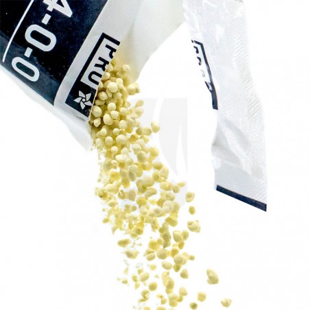 Pro Core Boîte 4,53 Kg Athena