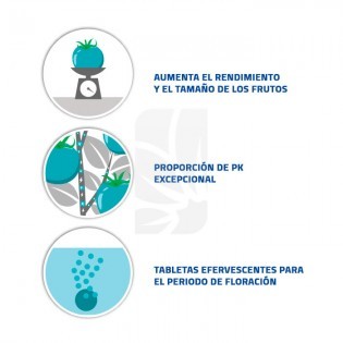 B’CUZZ BLOSSOM BUILDER TABZZ - 1 pastilla