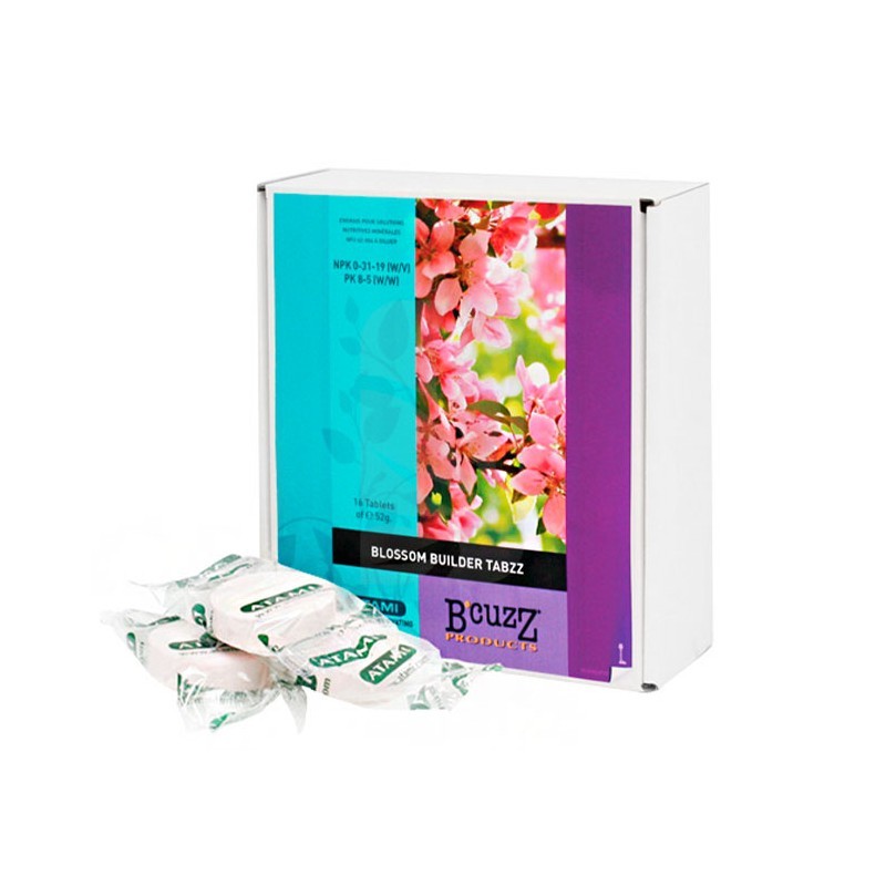 TABZZ B'CUZZ 1 Tablette