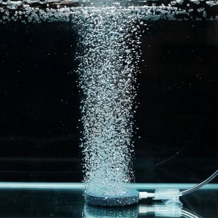 piedra difusora de oxígeno