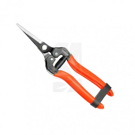 Buy 19 cm pointed grape harvest scissors. - Pruning scissors