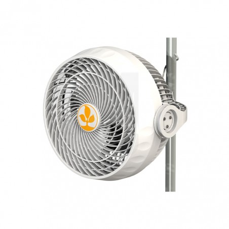 Ventilador Monkey Fan 30W UE Ball