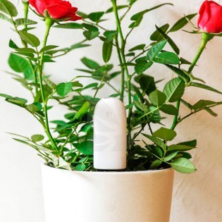 MEDIDOR Flower Care Smart Monitor PARROT