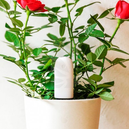 Flower Care Smart Monitor PARROT