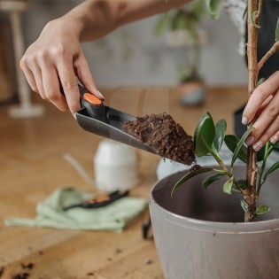 Kit Outils de Jardin Bellota