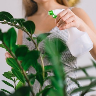 Buy 1 Liter Trigger Sprayer ✅ Cheap