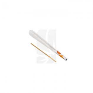 Cyclones Clear Peach