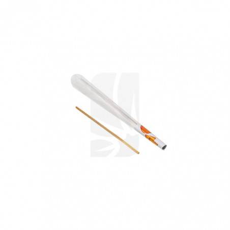 Cyclones Clear Peach