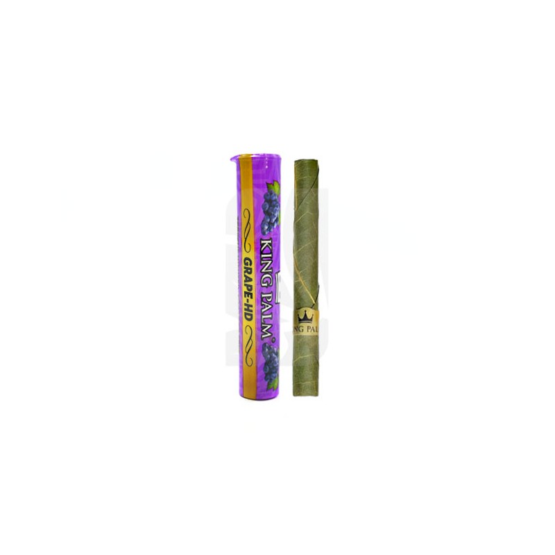 Single Mini Tube Grape King Palm Single Mini Tube Grape King Palm
