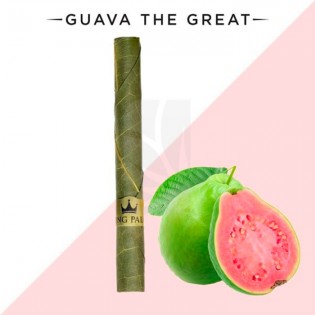 Single Mini Tube Guava King Palm