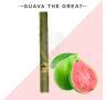 Single Mini Tube Guava King Palm Single Mini Tube Guava King Palm