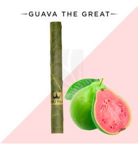 Single Mini Tube Guava King Palm
