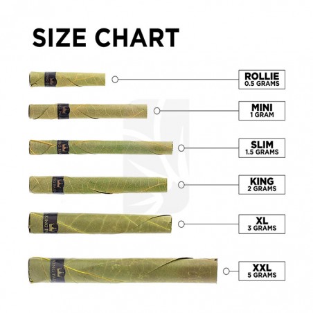 King Palm Mini 4 rolls (4 u)