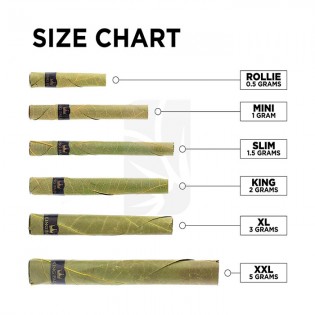 KING PALM MINI 5 PACK PUCH / Boveda