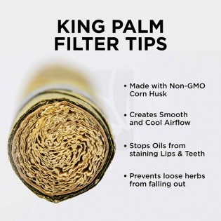 KING PALM MINI 5 PACK PUCH / Boveda