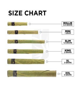 king palm size chart