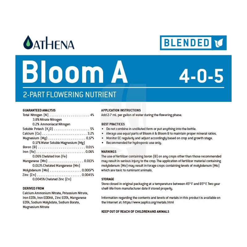 Bloom A 18,92 L. Athena