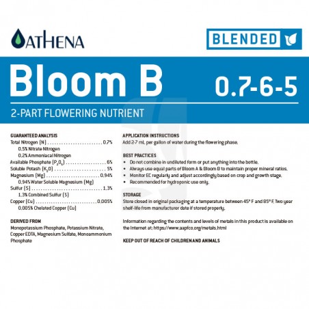 Bloom B 3.78 Liters Athena