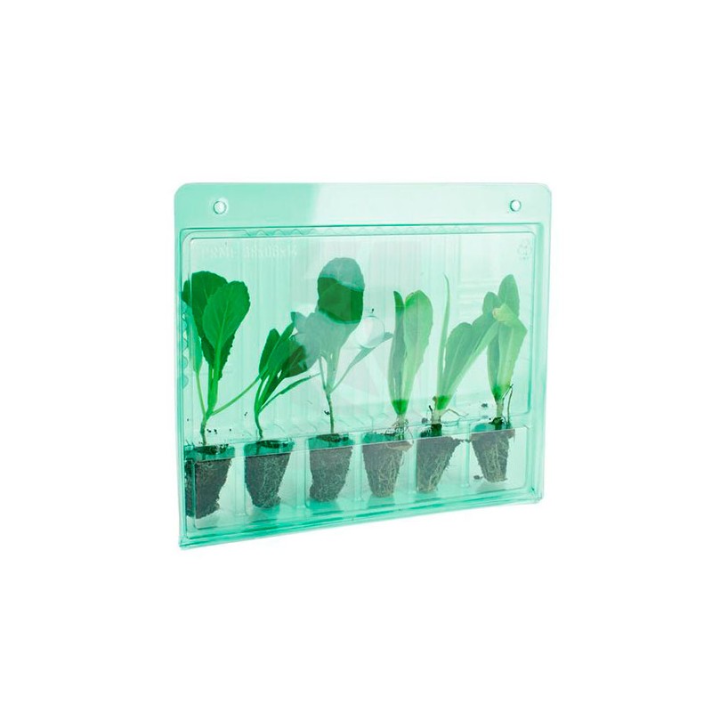 Funda transporte 6 esquejes (1 U) Funda transporte 6 esquejes (1 U)