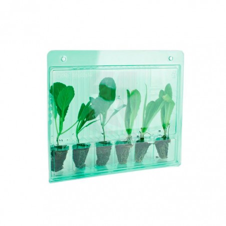 Funda transporte 6 esquejes