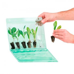 Transport Case for 6 Cuttings (1 pc)