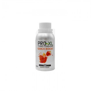 QUICK BOOST 0,25 L PRO-XL