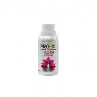 FLORA EXPLODER 0,25 L PRO-XL