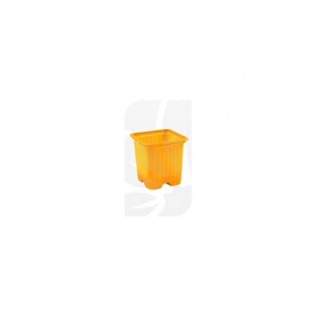 Buy VQB Pot 7 x 7 x 6.5 YELLOW ▷ Cuttings