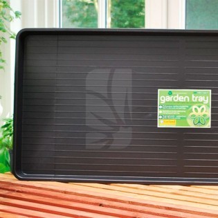 Buy the Giant Plus Tray 120 x 55 x 5 cm. ☝ Cheap