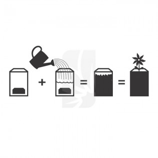 Coco Pot4 de 4 Litros UGRO