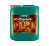 CalMag Agent de 5 Litros CANNA CalMag Agent de 5 Litros CANNA