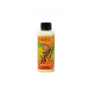 BUD XL 250 ml. H&G