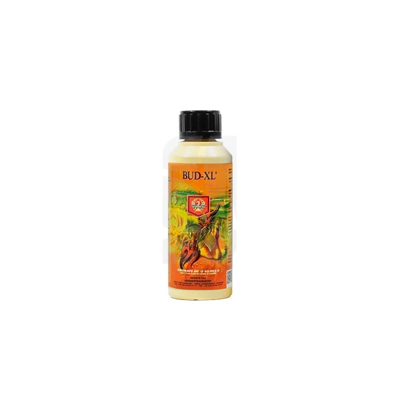 Bud XL de 250 ml. H&G Bud XL de 250 ml. H&G