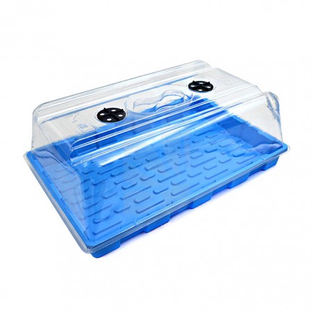 PRO blue propagator 39x59x21 cm for cuttings Pro+