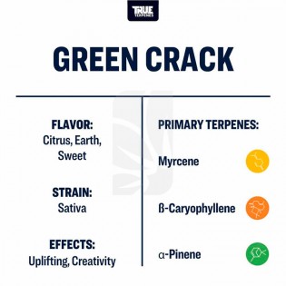 Terpeno Green CracK TRUE TERPENES