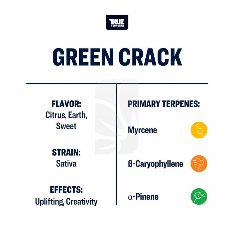 Terpeno Green CracK TRUE TERPENES