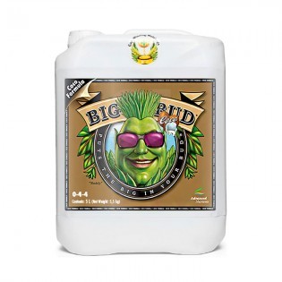 Big Bud COCO Liquid Fertilizer, 5 liters, Cheap