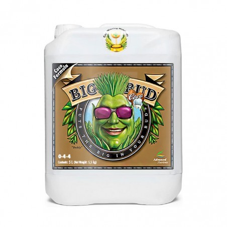 Big Bud COCO Liquid de 5 Litros