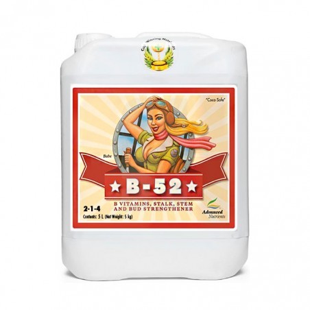B-52 Fertilizer Booster 5 Litros