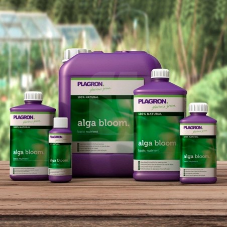 Alga Bloom de 1 Litro PLAGRON