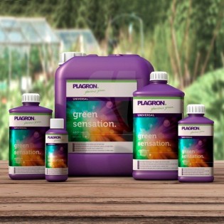 Green Sensation 1 Litre – PLAGRON