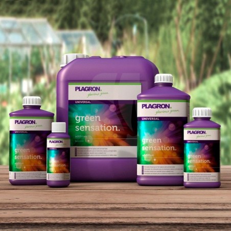 Green Sensation 500 ml. PLAGRON