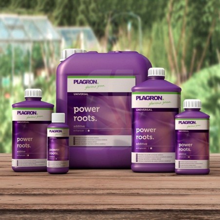 Power Roots 5 Litres PLAGRON