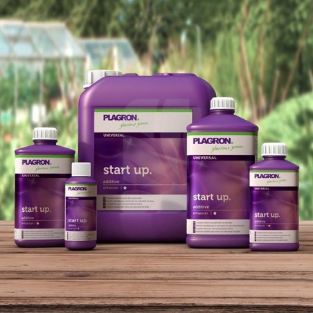 Start Up de 1 Litro PLAGRON