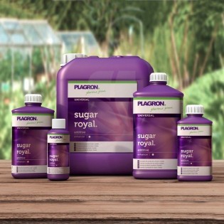 precio SUGAR ROYAL 5 Litros PLAGRON