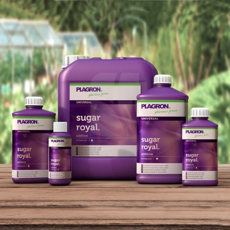 Sugar Royal 5 Litros PLAGRON