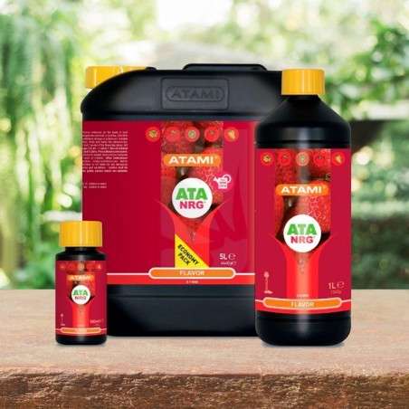 ATA NRG Flavor 1 Litro